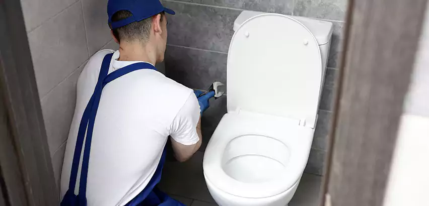 Toilet Lid Replacement in Highland Village